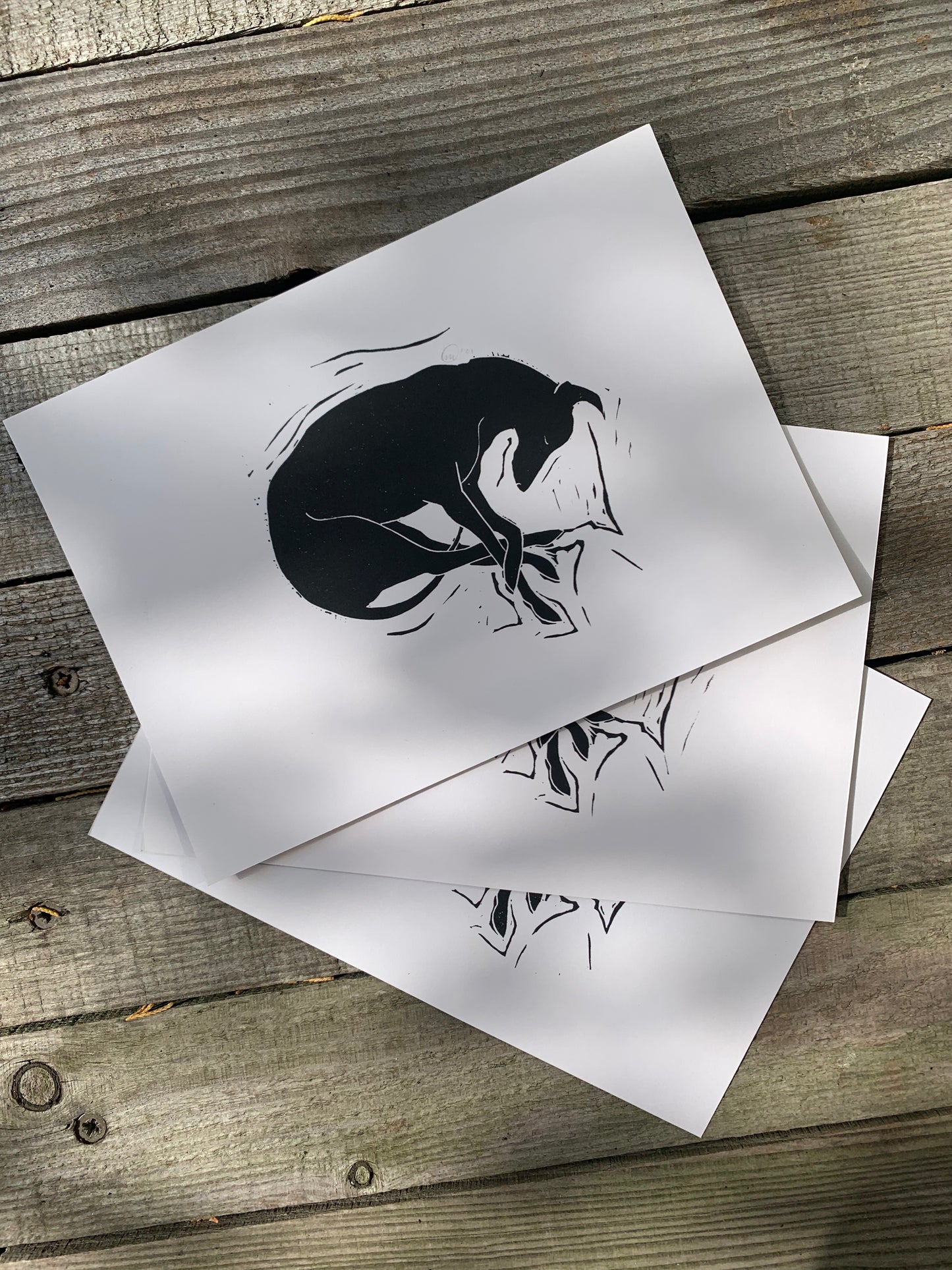 Catching Z's - Sighthound Lino Print