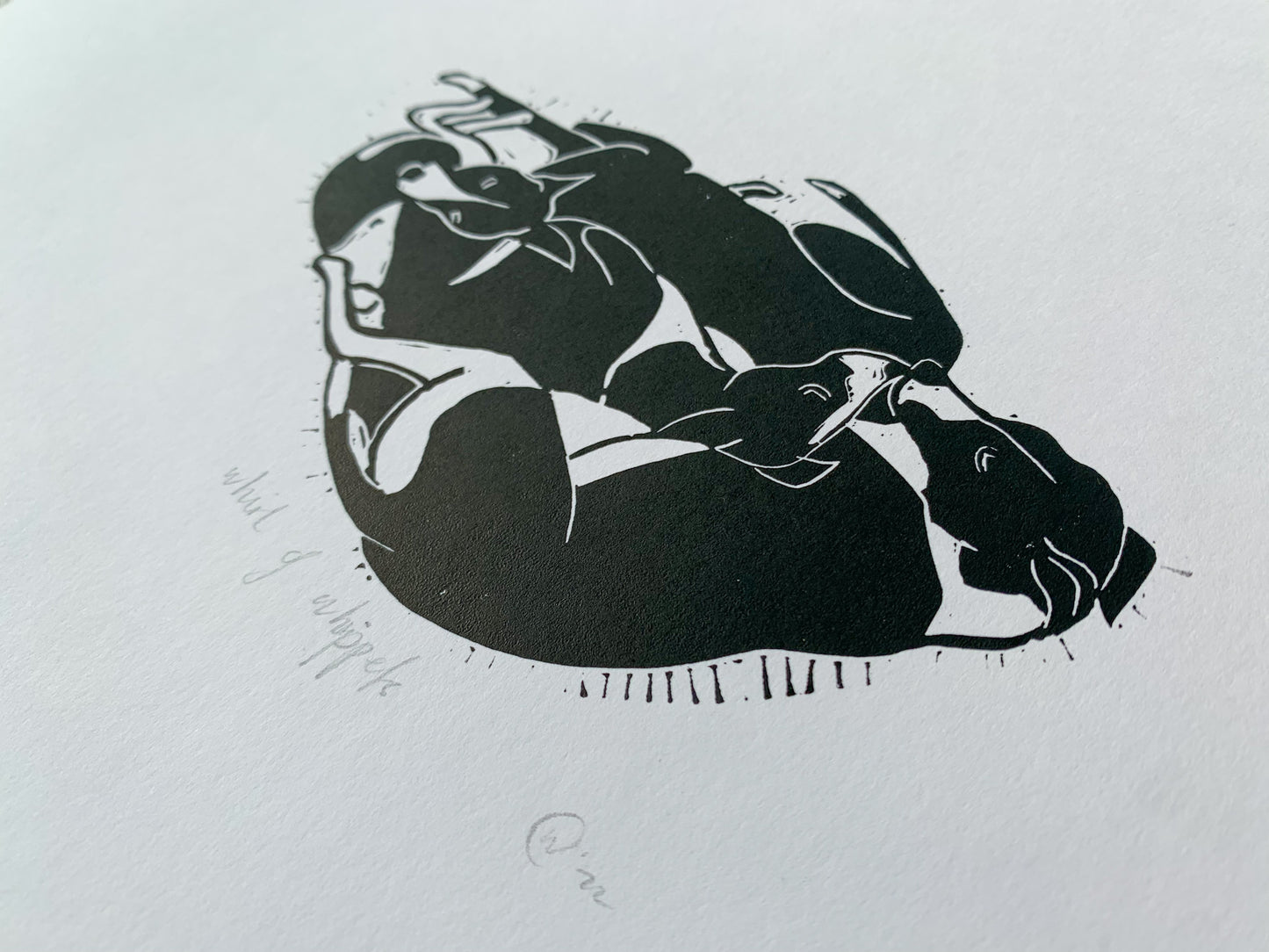 A Whirl Of Whippets - Whippet Dog Lino Print