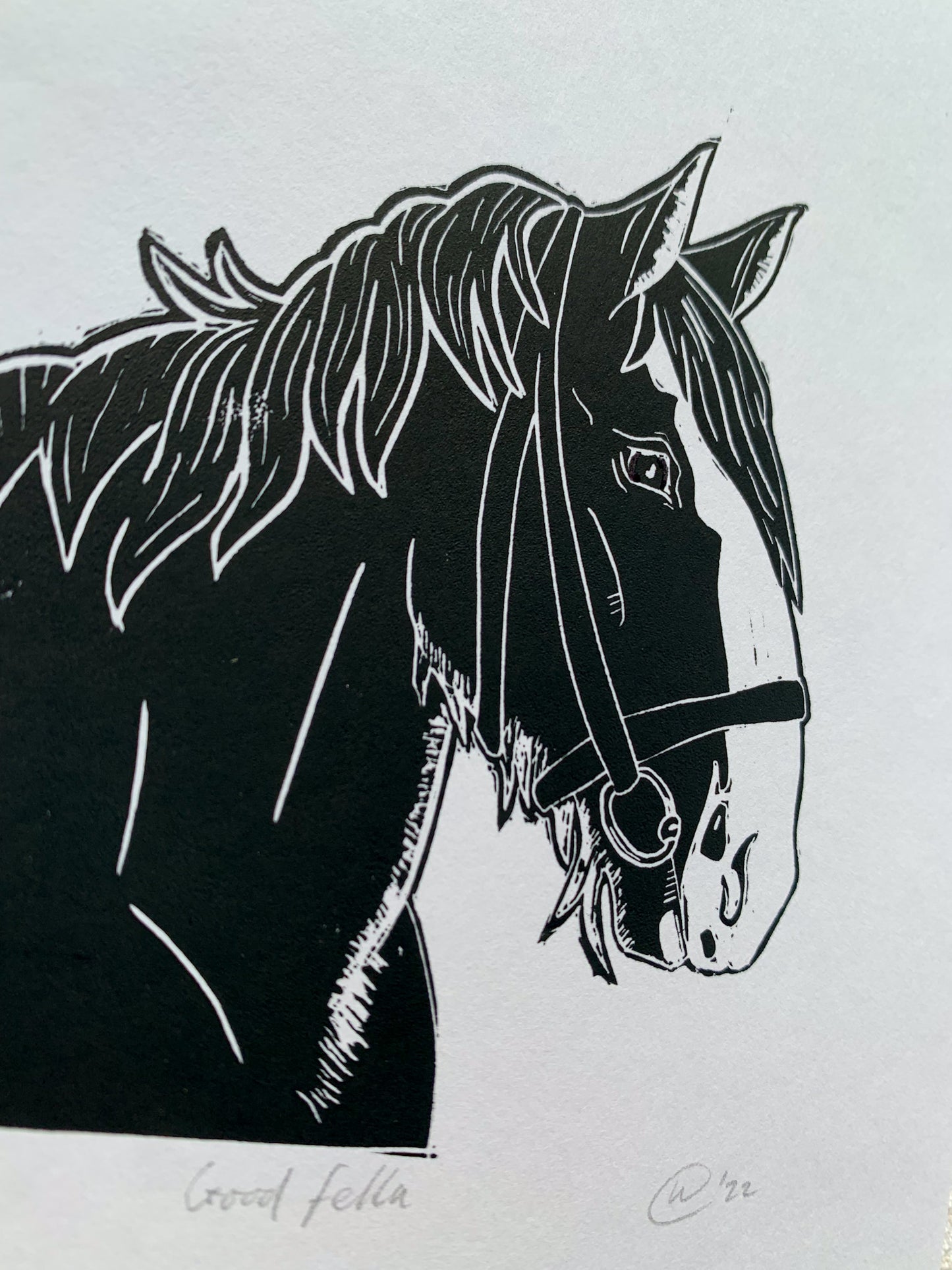 Good Fella - Clydesdale Horse Lino Print